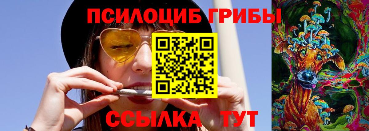 Псилоцибиновые грибы MAGIC MUSHROOMS  Вход с VPN  Железногорск 